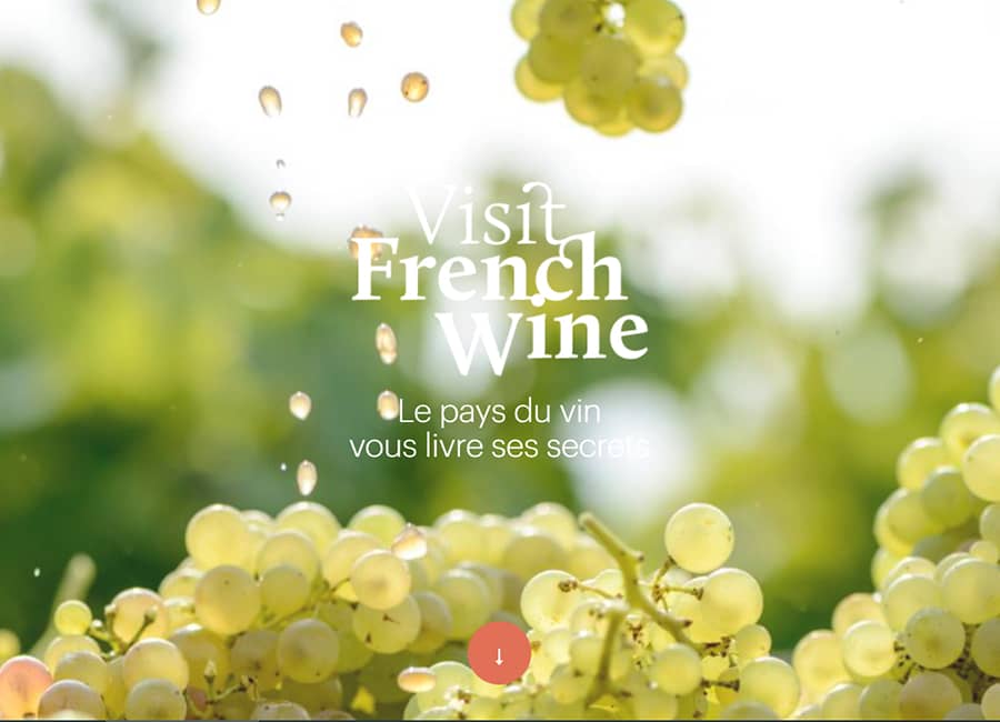 Visit French Wine